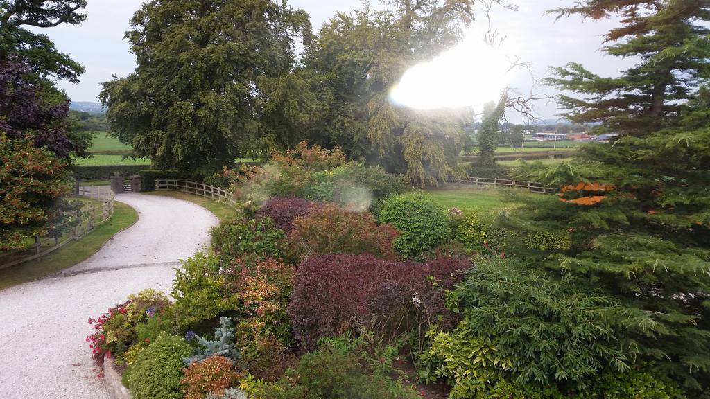 Ty Derw Country House B&B Ruthin Szoba fotó